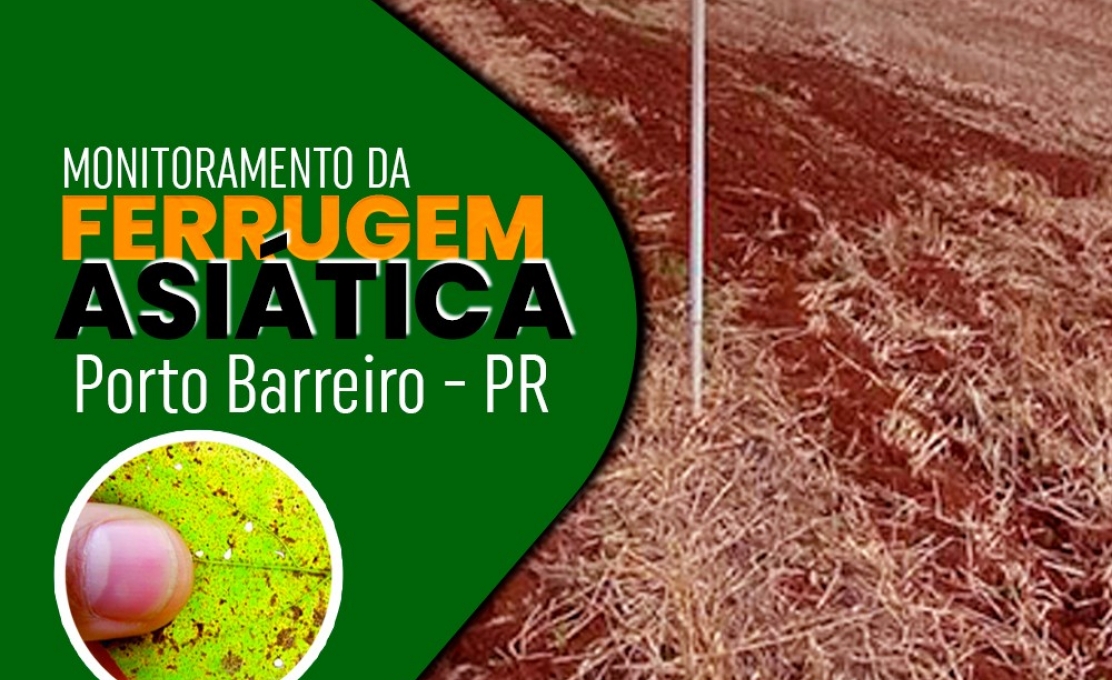 Monitorando a ferrugem-asiática da soja em Porto Barreiro e região.