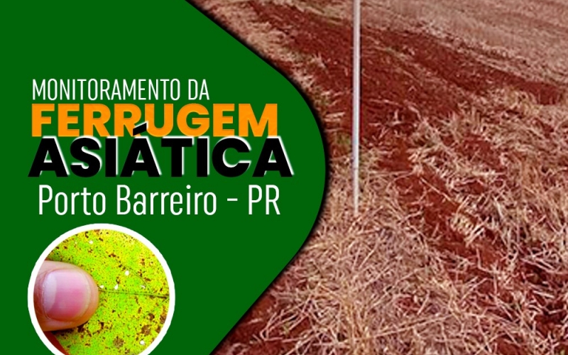 Monitorando a ferrugem-asiática da soja em Porto Barreiro e região.